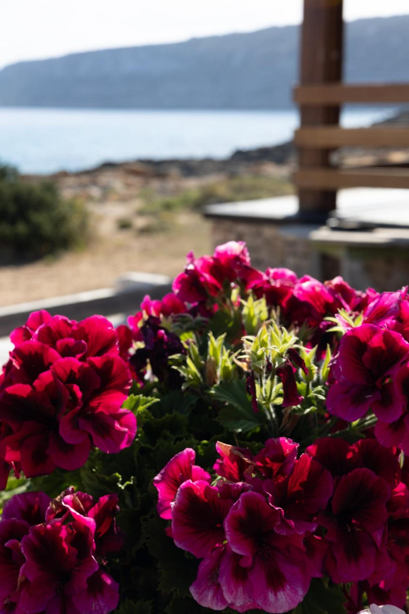 Apartamentos Es Caló Es Calo (Formentera) Exterior foto